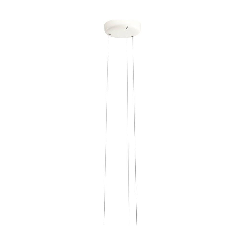 CANOPY RD D190 3WIRES BG