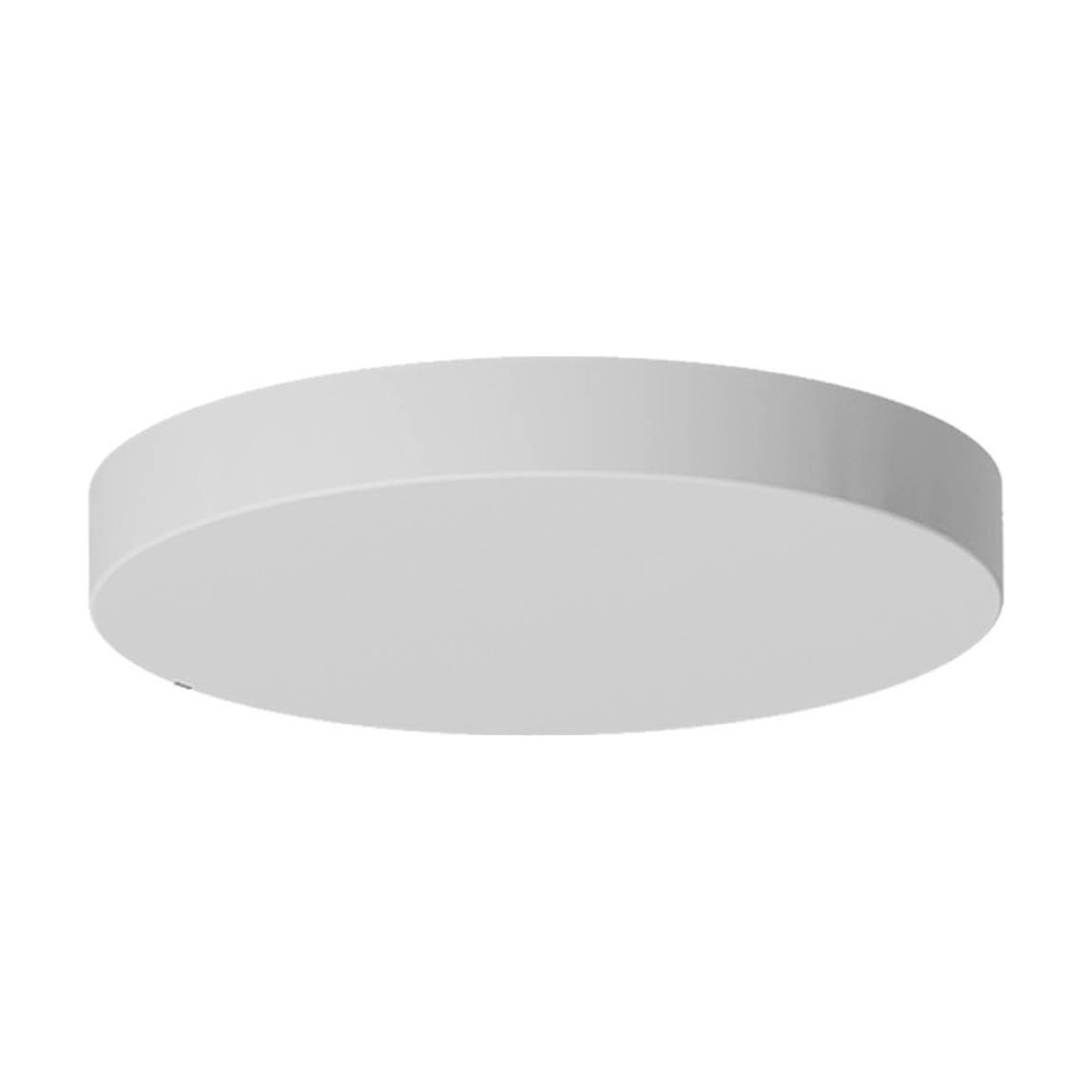 CANOPY RD D300*40 WH(MAGNET)