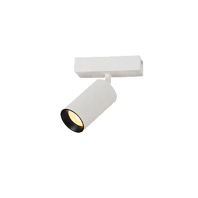 Plafonnier apparent 10W 40° IP20 800Lm CRI80 - incl LED-driver BLANC