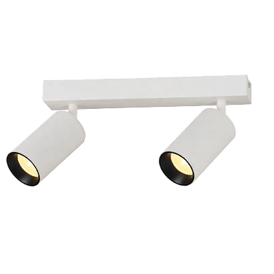 Plafonnier apparent 2-voudig 2x10W 40° IP20 2x800Lm CRI80 - incl LED-driver BLANC