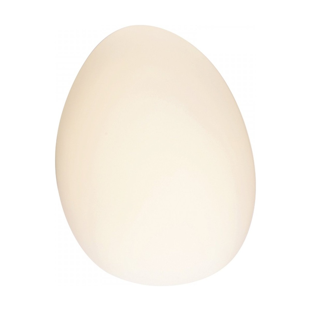 LED WALL LAMP 5W 3000K  GLASS & IRON  WHITE