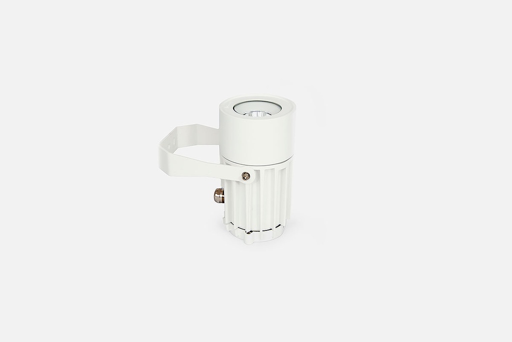 Formenta projecteur Ecolight Flagpole lighting 21W 5-12 m