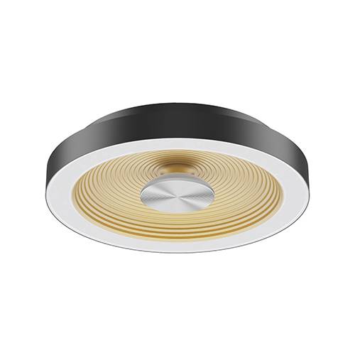 HULA C 18W 3000K 1850Lm 120° Noir mat - Doré