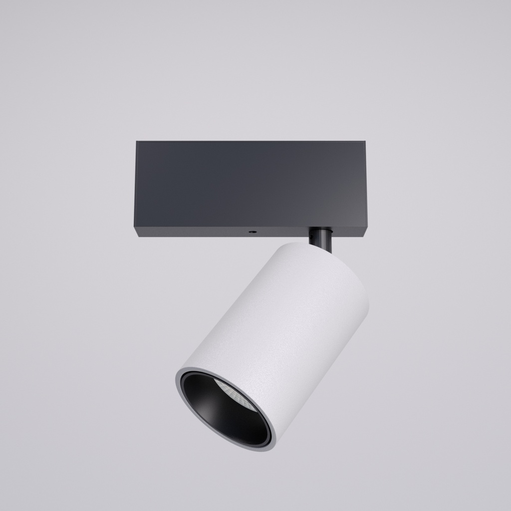XTRIM M ADJ. DALI MINI PROJECTOR 36W 48V DC 4000K CRI.90 IP20 20° MWH (5.1.2)