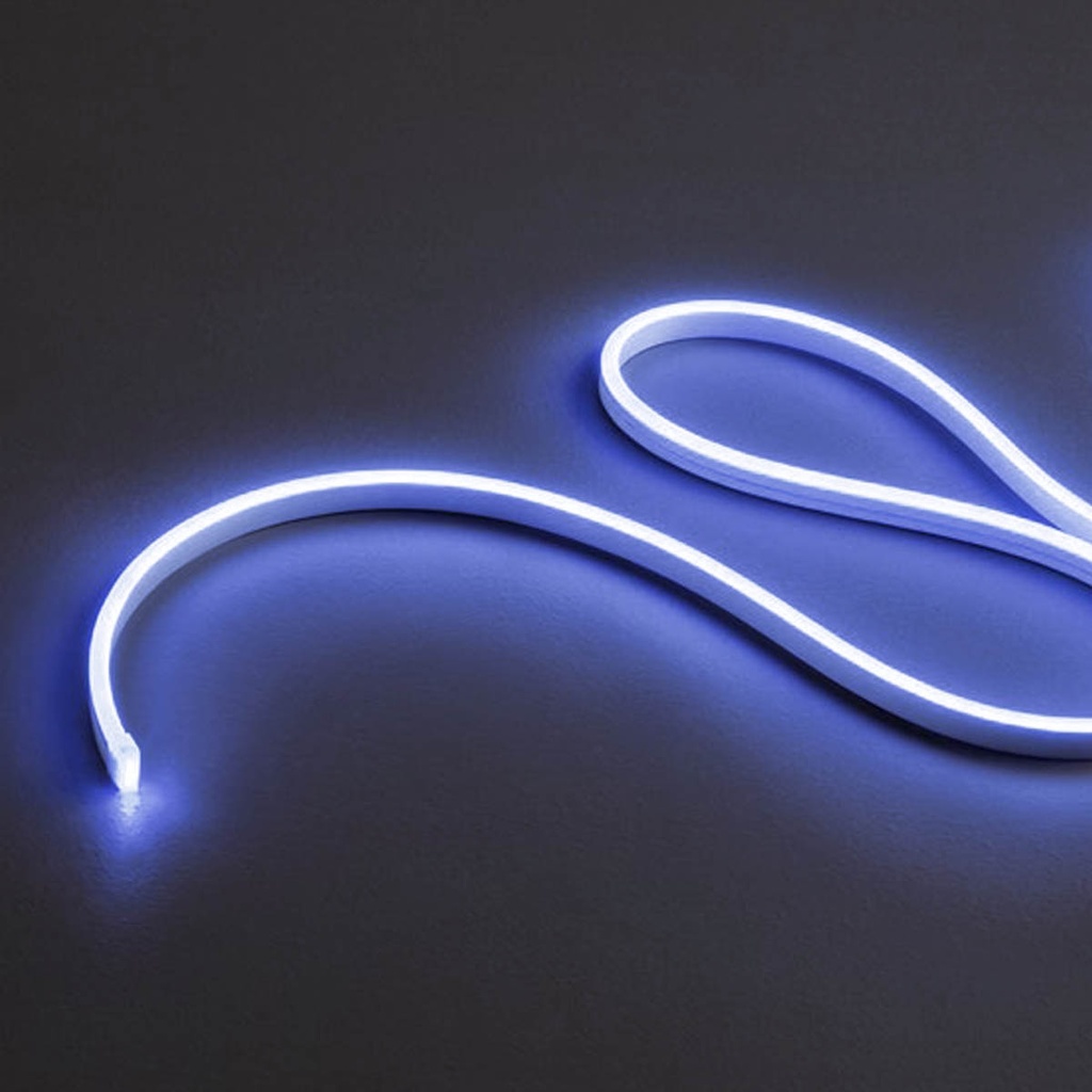 XSNAKE 1m LEDS STRIP  8W/m 120LED/m 24V DC BLUE IP67 120° (5.1.2)