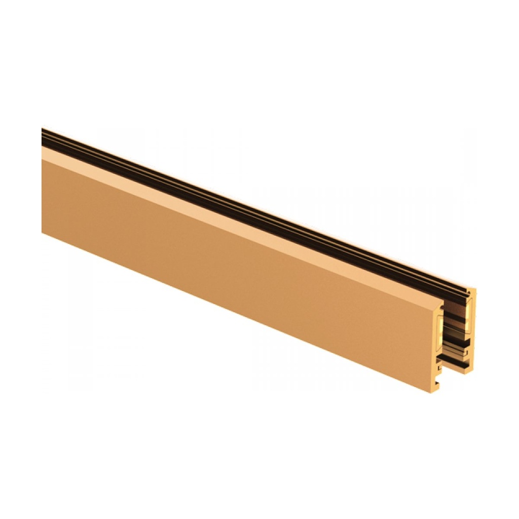 SURFACE 24V 6MM MAGNETIC TRACK 1M ANTIQUE BRASS 