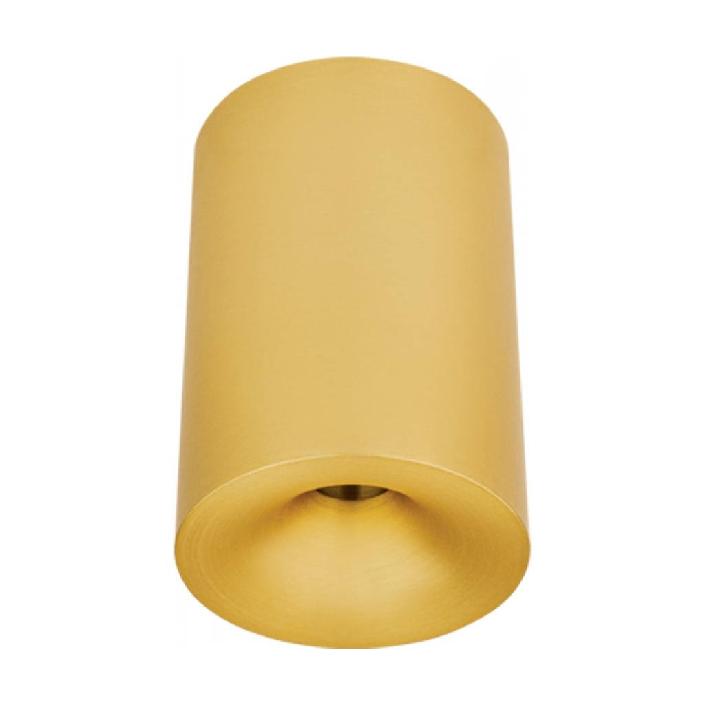 CEILING LED SPOT 10W 3000K IP54 BRASS MATT