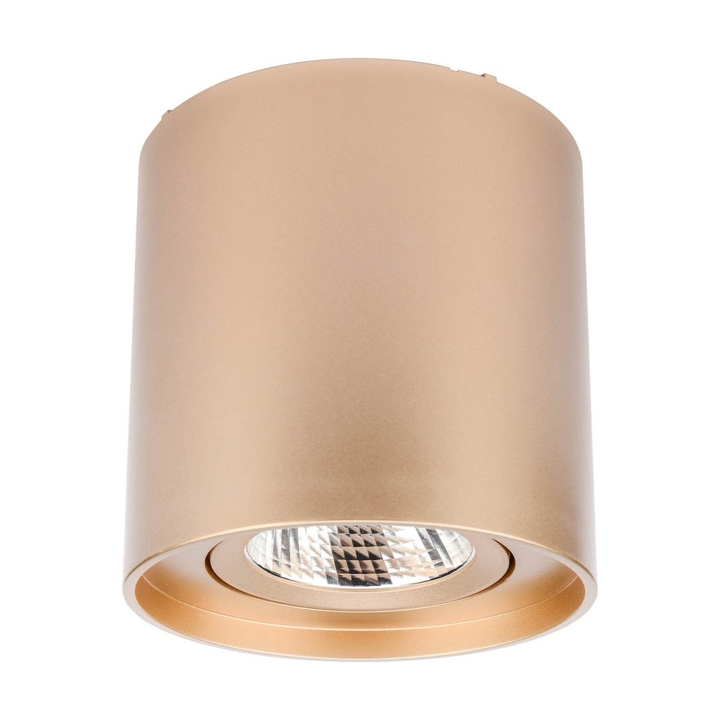 PC 01  LED 10W 3000K RD  GD(5.1.2)