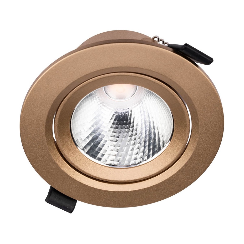 PT 08 LED 10W 3000K GD(5.1.2)