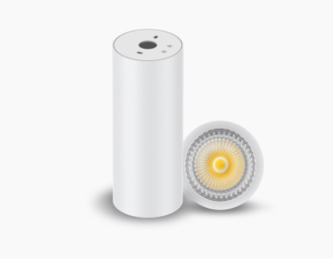 [W4L1033827] Downlight LEO BLANC DALI