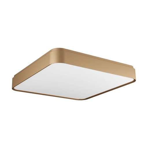 [W4L102886] YOMO PL LED 61W 3000K GD (5.1.2)