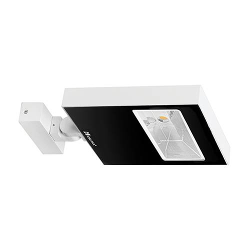 [W4L026116] Raypro 50 a 50w 3000k 5650lm IP67 blanc mat