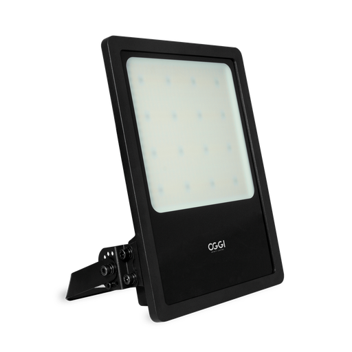 [W4L541069] LUMAX