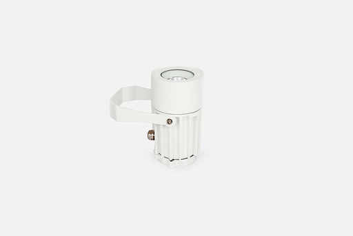 [W4L058765] Formenta projecteur Ecolight Flagpole lighting 21W 5-12 m