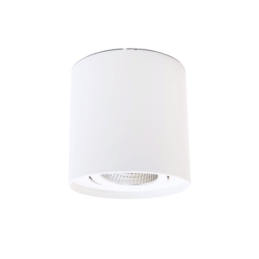 [W4L059891] SINTRA R Apparent plafonnier 3000K Blanc AC230V 10W IP20