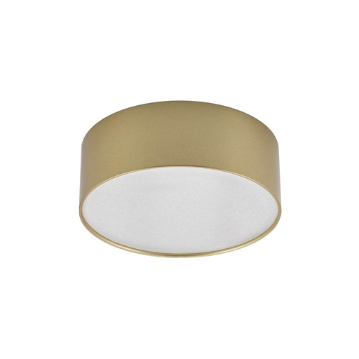 [W4L061456] XROLL RND. CEILING FITTING 18W 220-240V AC 3000K CRI.80 IP40 120° SGD (5.1.2)
