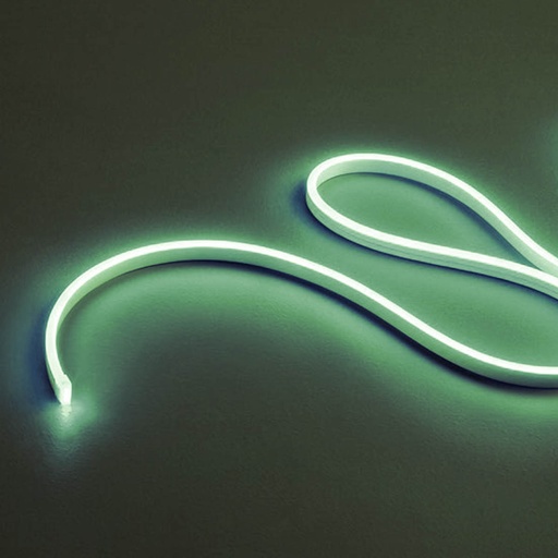 [W4L062991] XSNAKE 1m LEDS STRIP  8W/m 120LED/m 24V DC GREEN IP67 120° (5.1.2)
