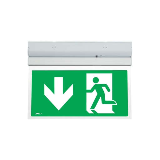 [W4L064655] XWAY AP. ARROW DOWN NEW