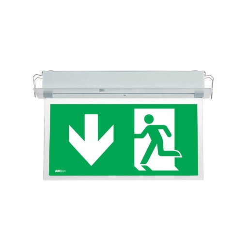 [W4L064663] XWAY INC. ARROW DOWN NEW