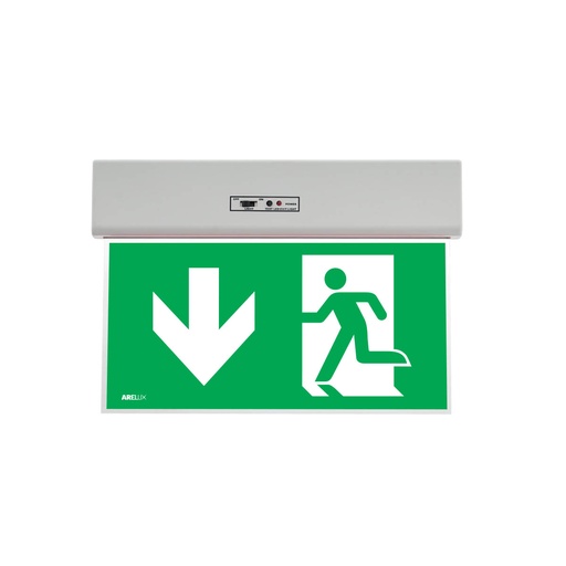 [W4L064665] XGO ARROW DOWN NEW