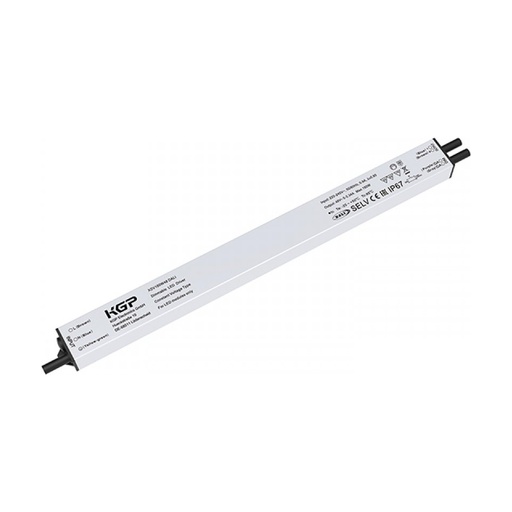 [W4L853771] DRIVER BUTTON-DALI2 160W-48V DALI IP67 KGP
