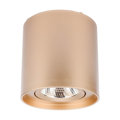[W4L083899] PC 01  LED 10W 3000K RD  GD(5.1.2)